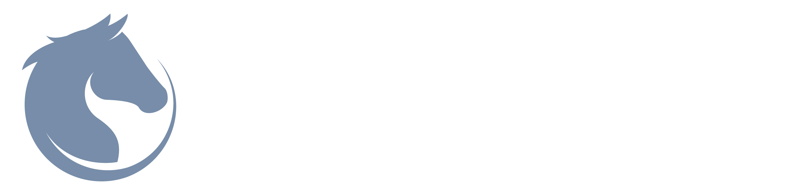 Vitasteed Logo