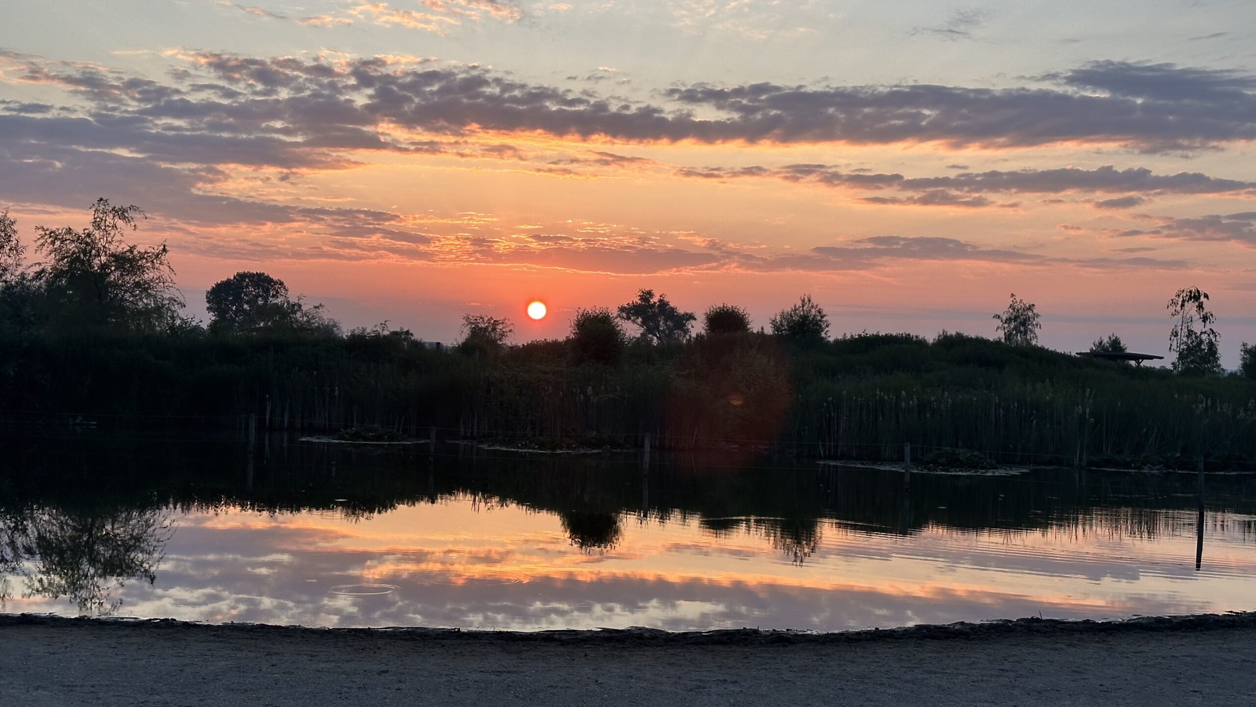 vijver in de avondschemer