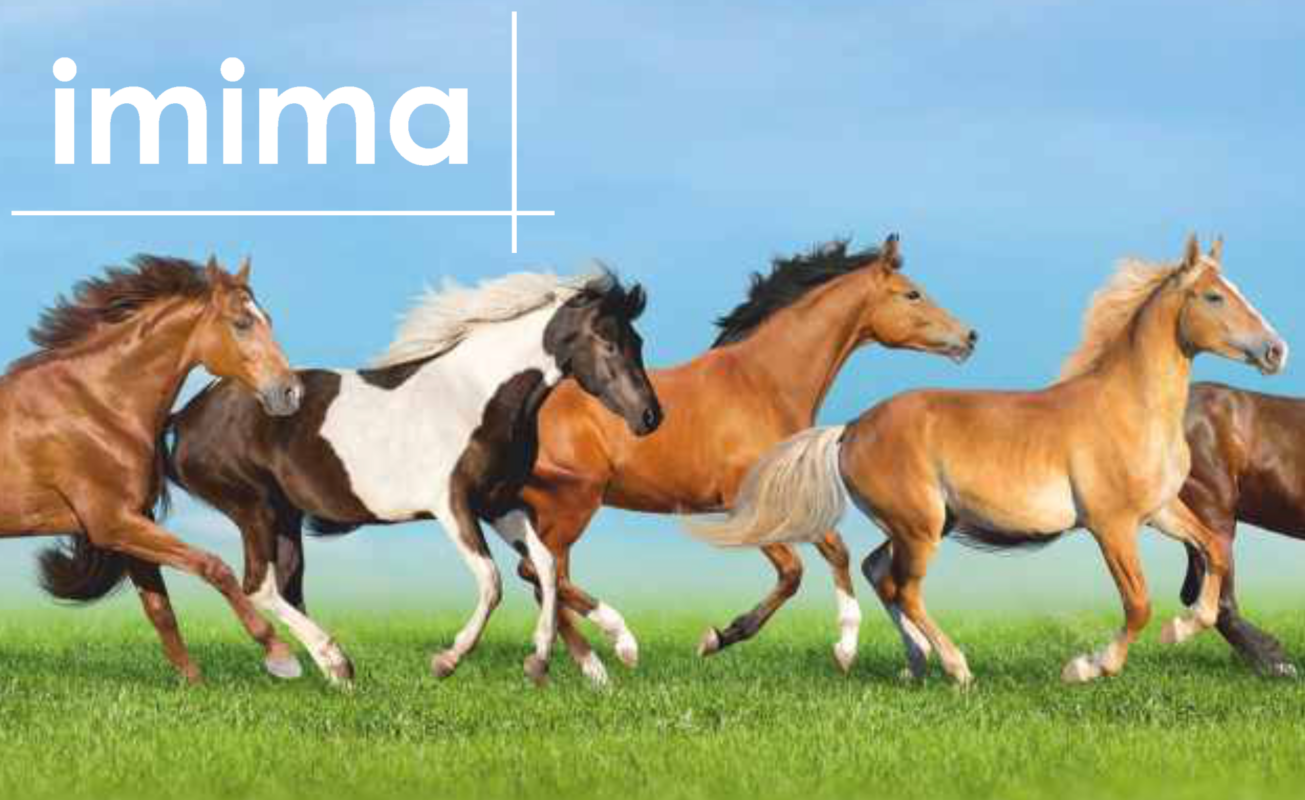 Bedrijfslogo van Imima met rennende paarden op de achtergrond