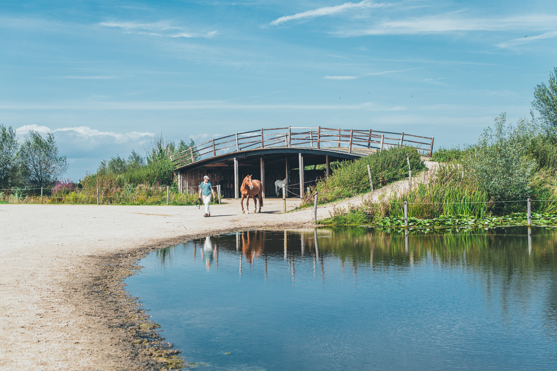 Een vrouw die samen met een paard in een natuurlijke omgeving loopt, met water op de voorgrond en een brug op de achtergrond