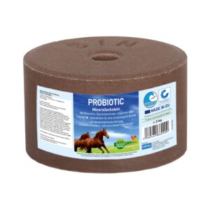 Een probiotic liksteen voor paarden.