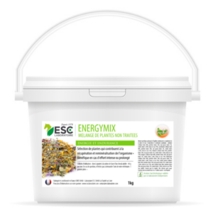 ESC Laboratoire Energymix