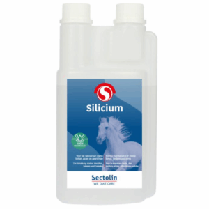 Sectolin Silicium